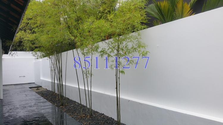 Serangoon Garden Estate (D19), Semi-Detached #150097612